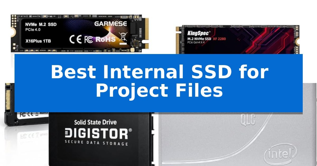 Best Internal SSD for Project Files