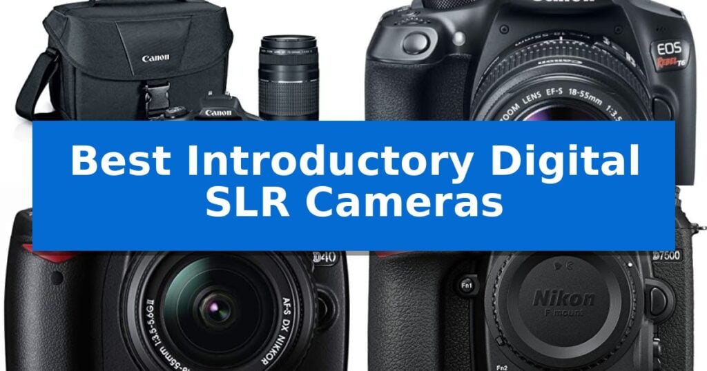 Best Introductory Digital SLR Cameras