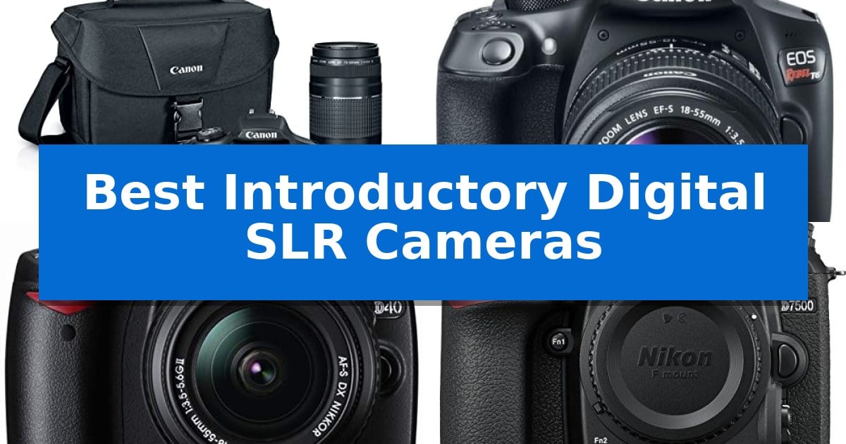 Best Introductory Digital SLR Cameras