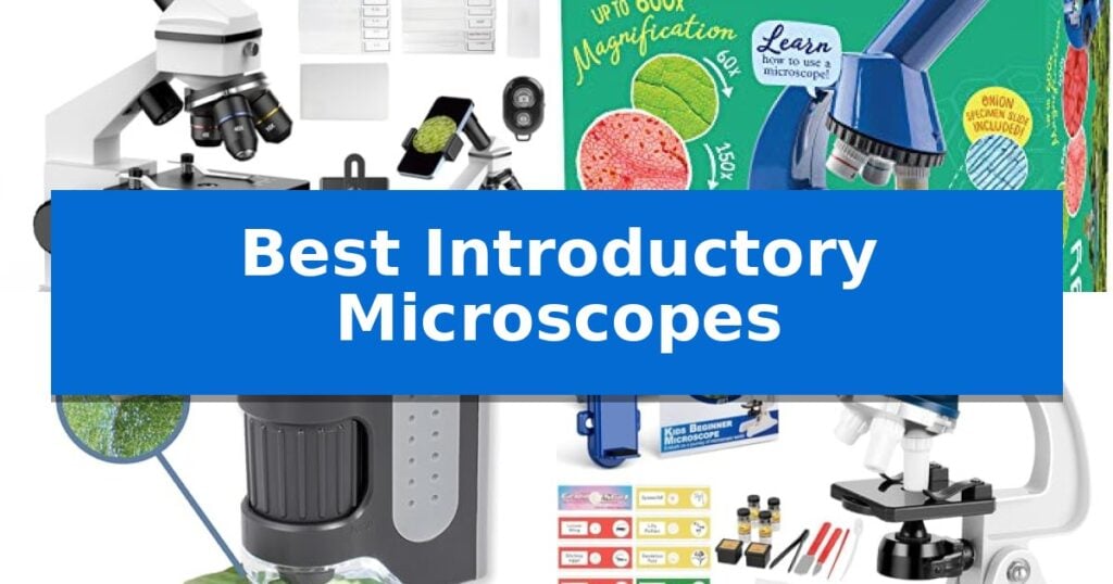 Best Introductory Microscopes
