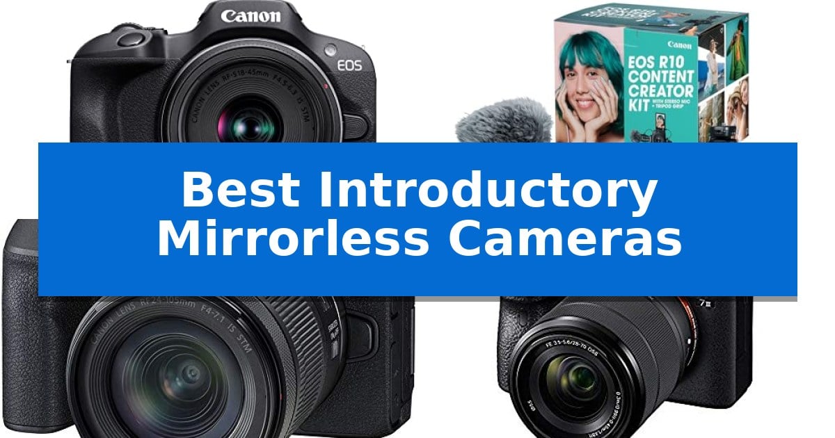 Best Introductory Mirrorless Cameras