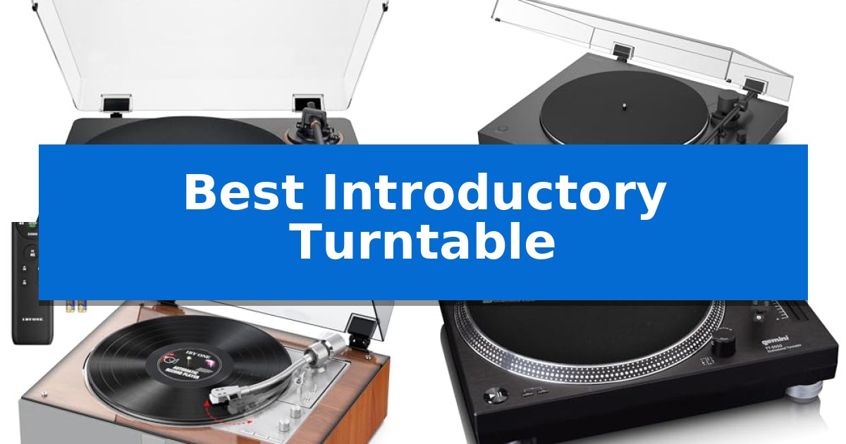Best Introductory Turntable