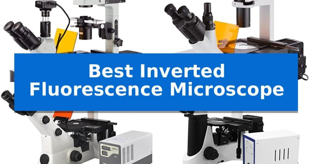 Best Inverted Fluorescence Microscope