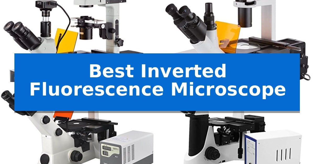Best Inverted Fluorescence Microscope