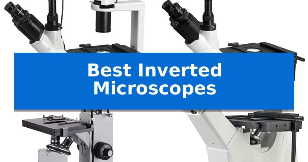 Best Inverted Microscopes