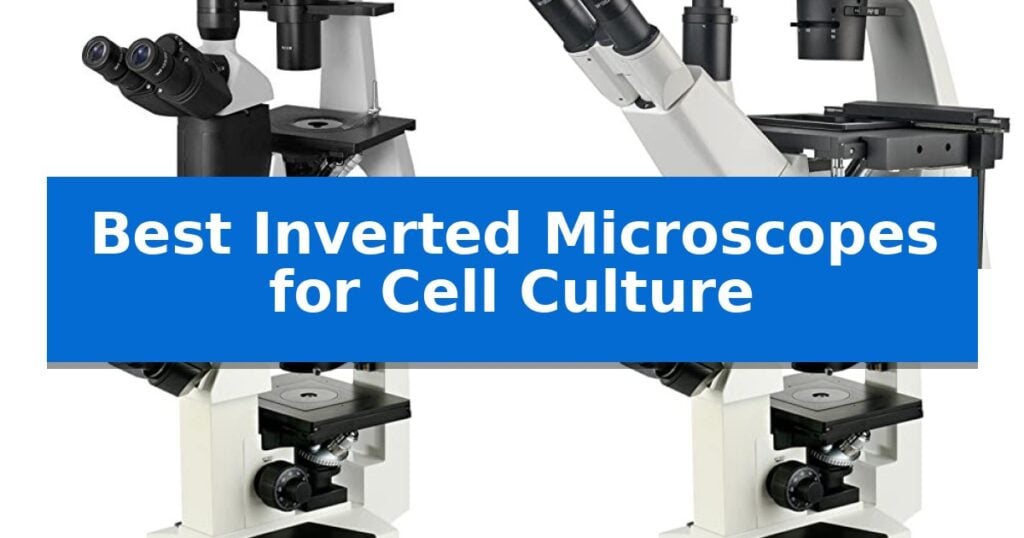 Best Inverted Microscopes for Cell Culture