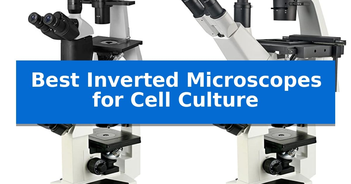 Best Inverted Microscopes for Cell Culture