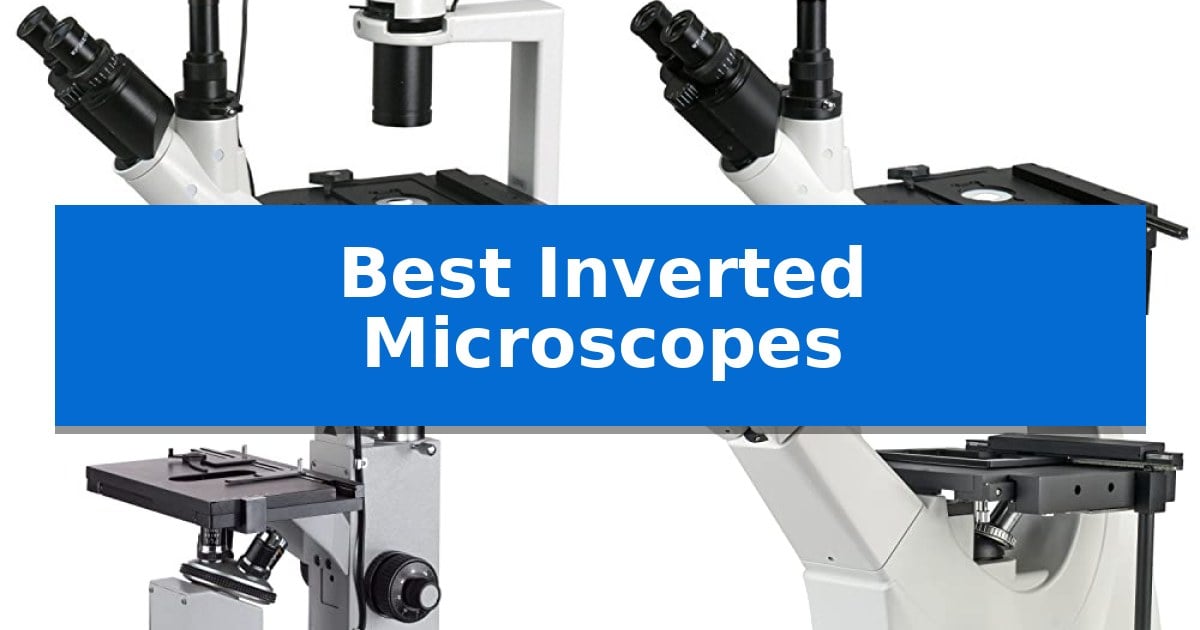 Best Inverted Microscopes