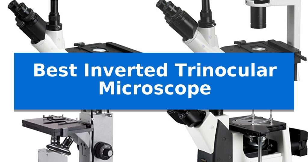 Best Inverted Trinocular Microscope