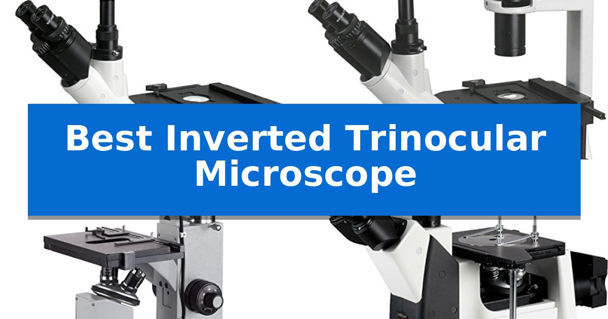 Best Inverted Trinocular Microscope