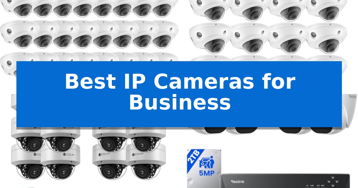 Best IP Cameras for Business