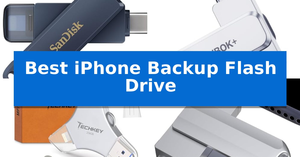 Best iPhone Backup Flash Drive