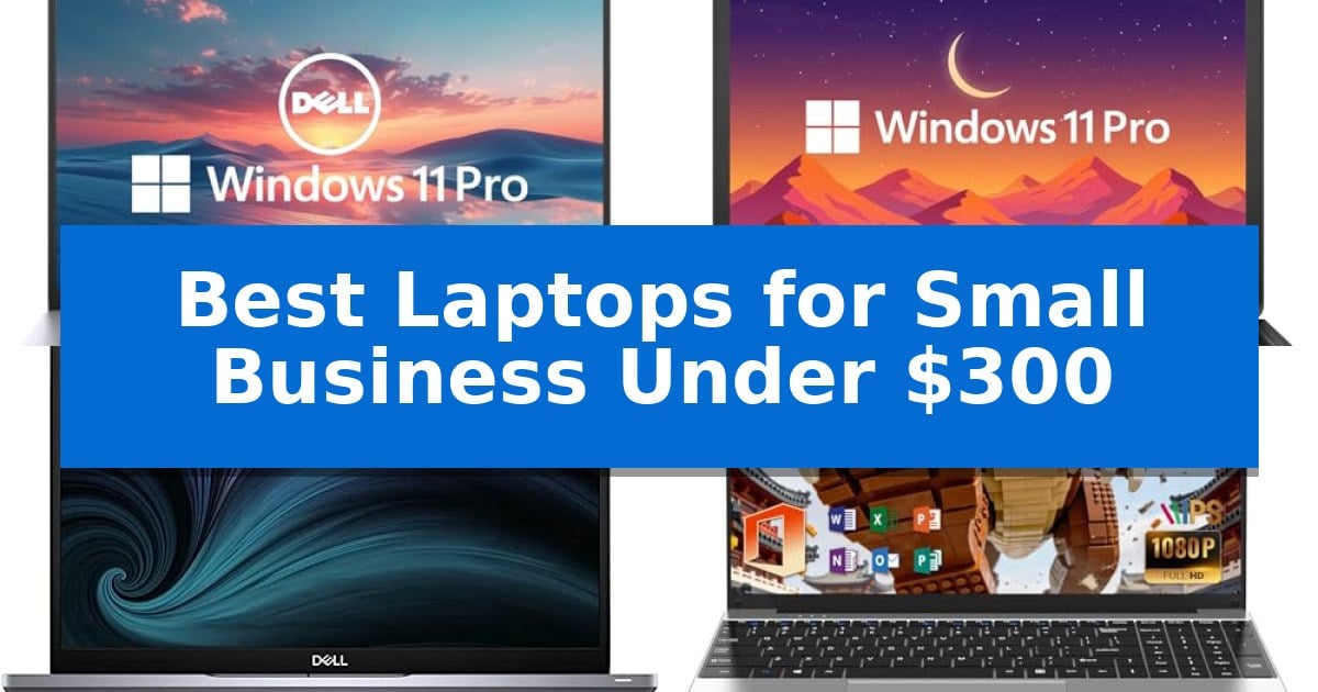 Best Laptops for Small Business Under $300