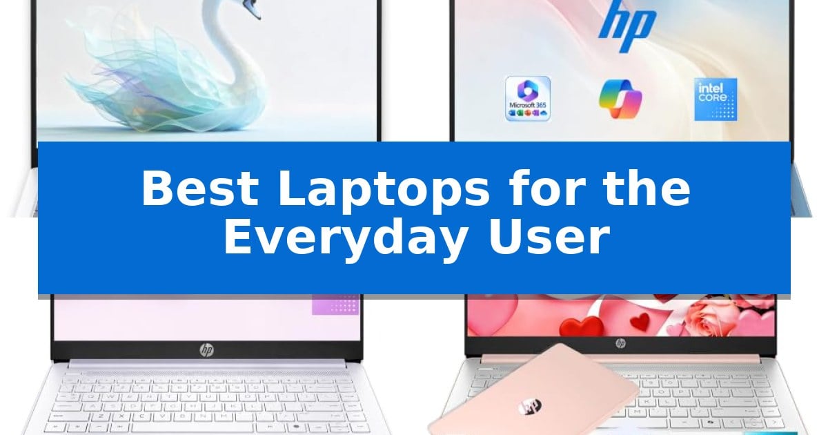 Best Laptops for the Everyday User