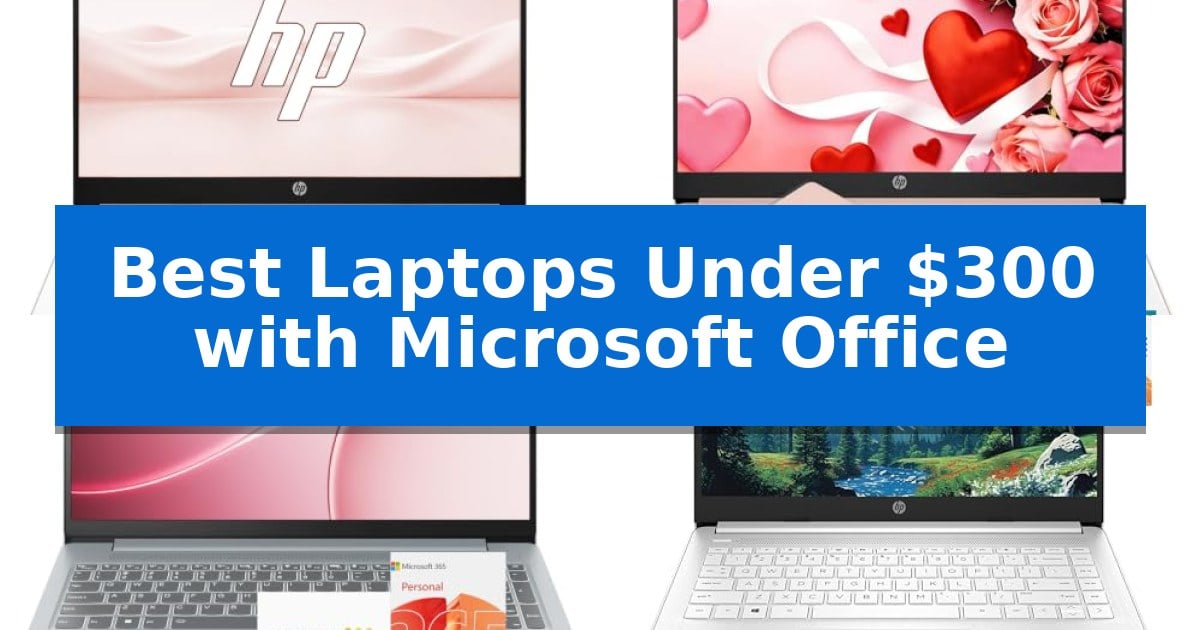 Best Laptops Under $300 with Microsoft Office