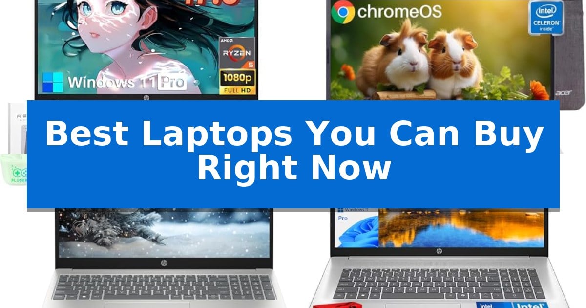 Best Laptops You Can Buy Right Now