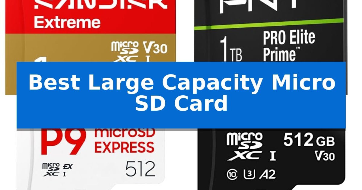 Best Large Capacity Micro SD Card