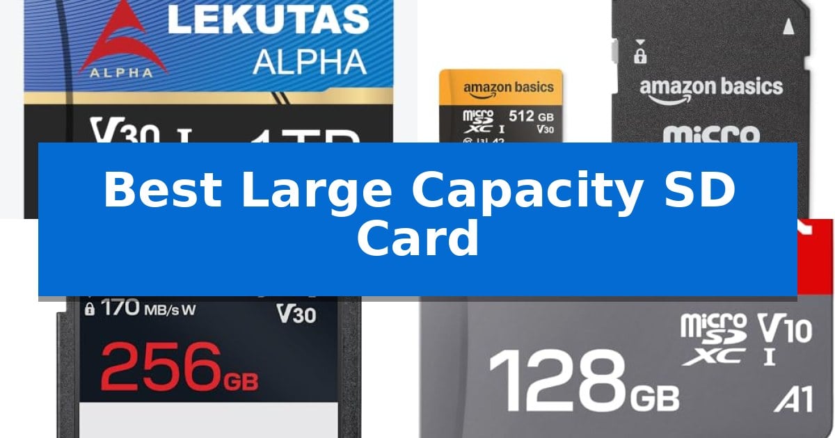 Best Large Capacity SD Card