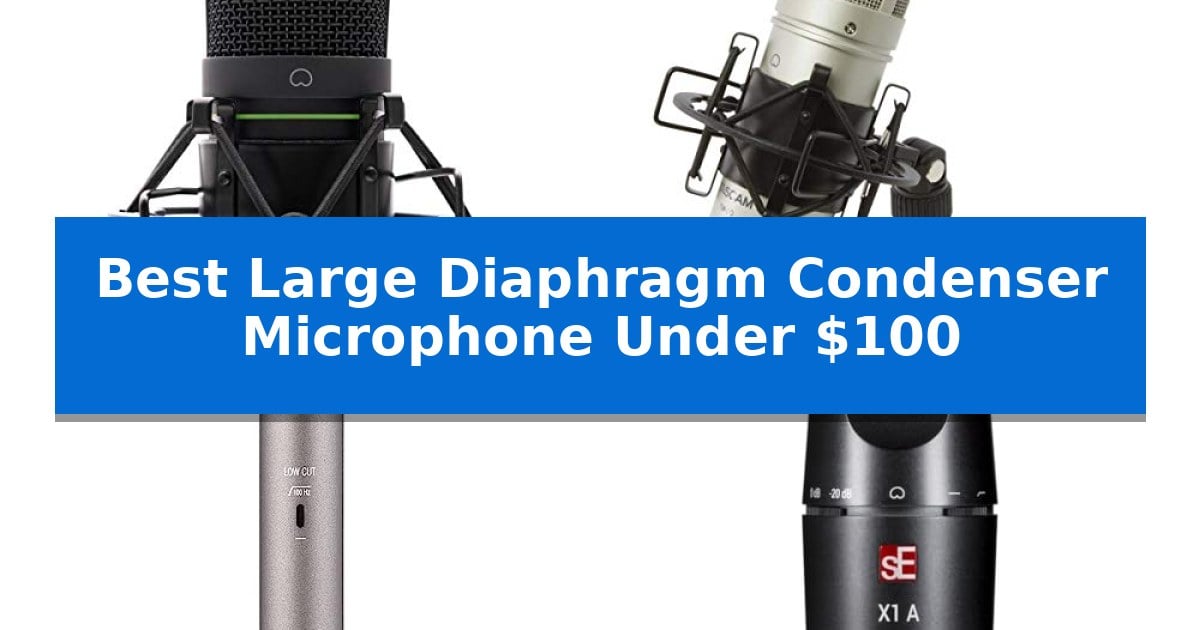 Best Large Diaphragm Condenser Microphone Under $100