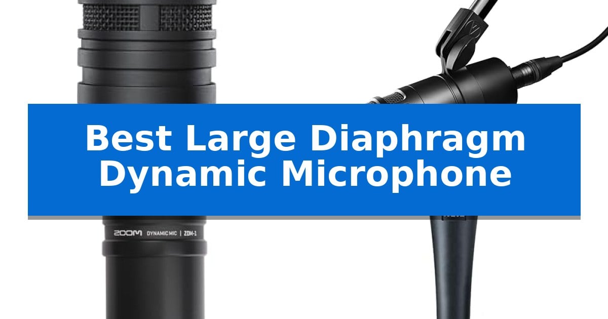 Best Large Diaphragm Dynamic Microphone